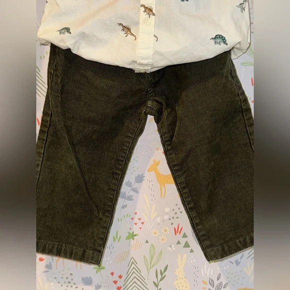 Like New Janie and Jack 2 Piece Boys Dinosaur Button Down w Green Corduroy Pants - Picture 13 of 14